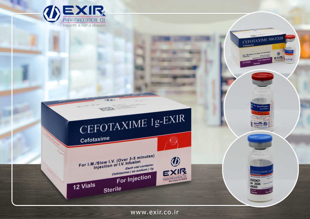 Cefotaxime-1-500-g